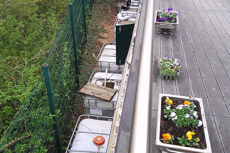 AW Group Recycling - IBC Tank Water Harvesting