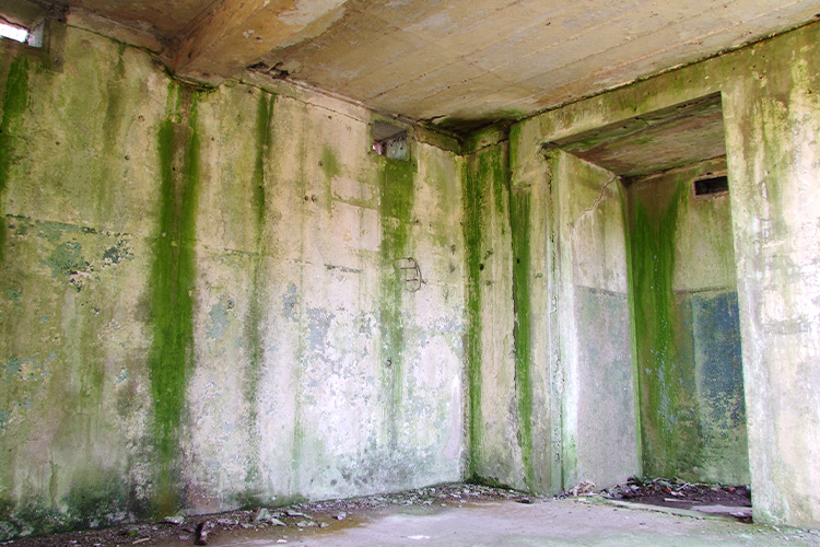 AW Group - Wanstone Battery 2011 AW Group - Wanstone Battery 2011