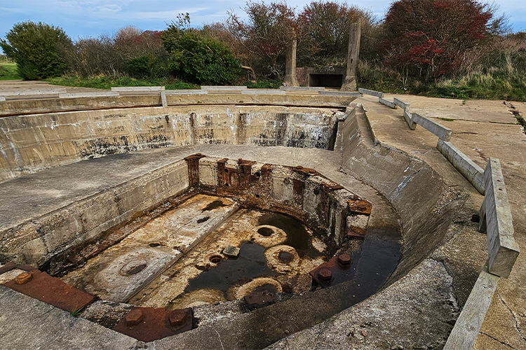 AW Group - Wanstone Battery Jane Gun AW Group - Wanstone Battery Jane Gun